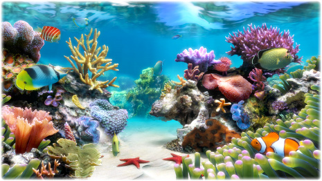SimAquarium Key: A Comprehensive Guide