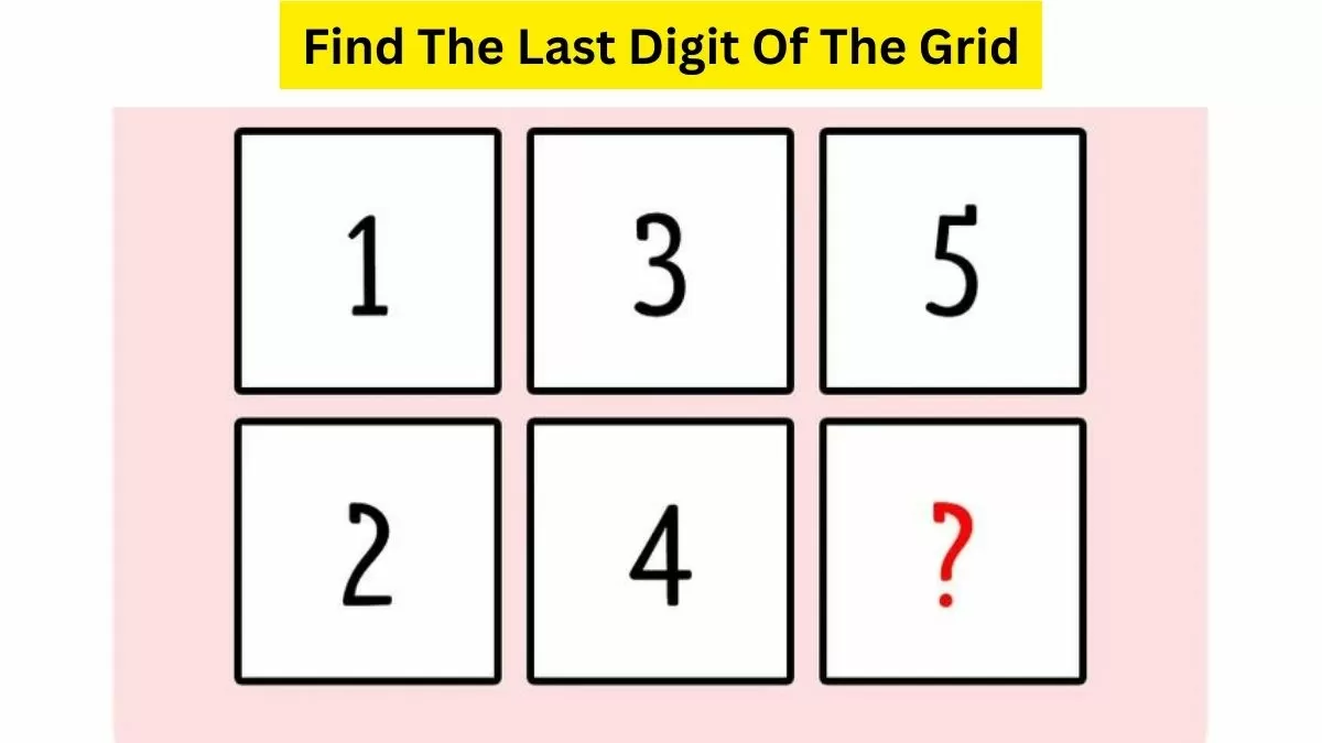 aptilink iq test