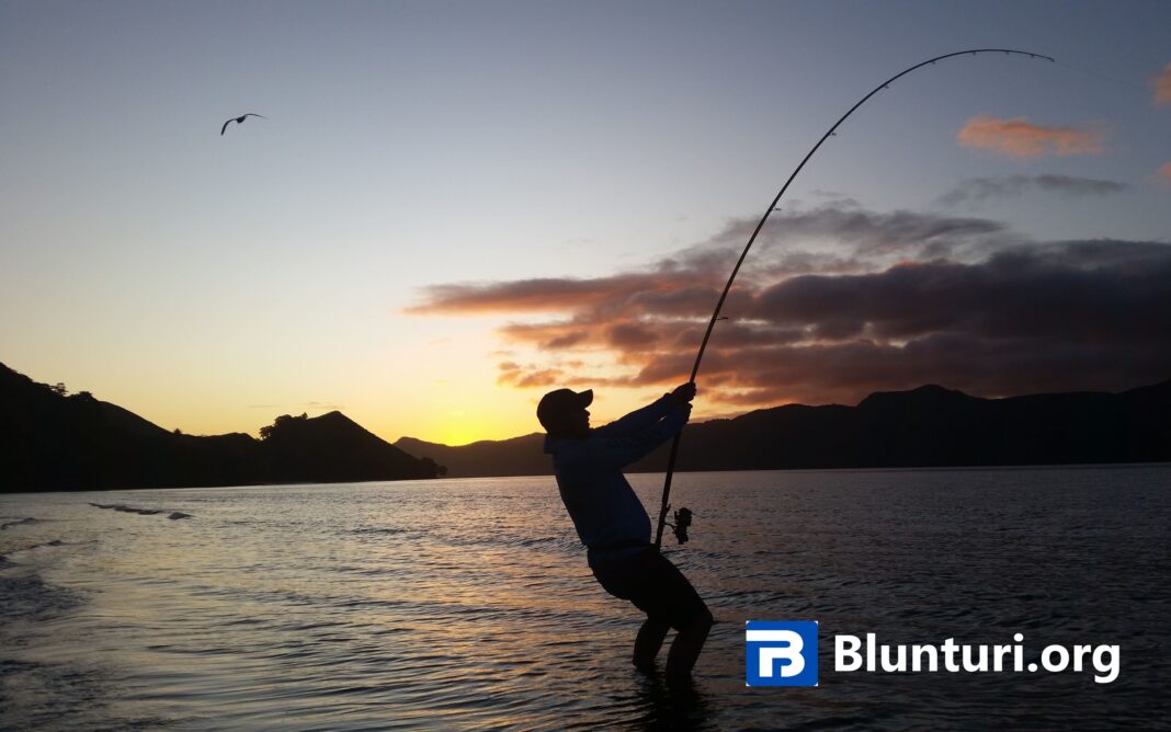 canne à pêche surfcasting decathlon : choix et conseils pour les passionnés en france canne à pêche surfcasting decathlon : choix et conseils pour les passionnés en france