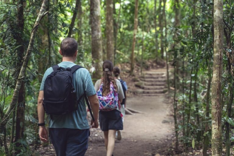 Outdoor Adventures: Easter Bushwalks and Nature Trails in Eurobodalla