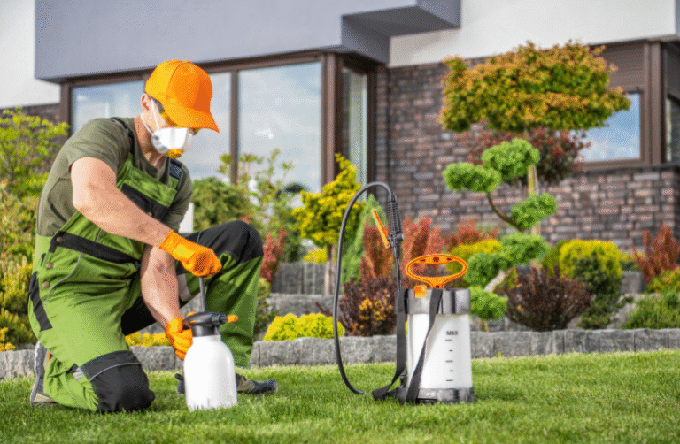 Green Pest Control Solutions: How to Keep Your Home Safe and Eco-Friendly