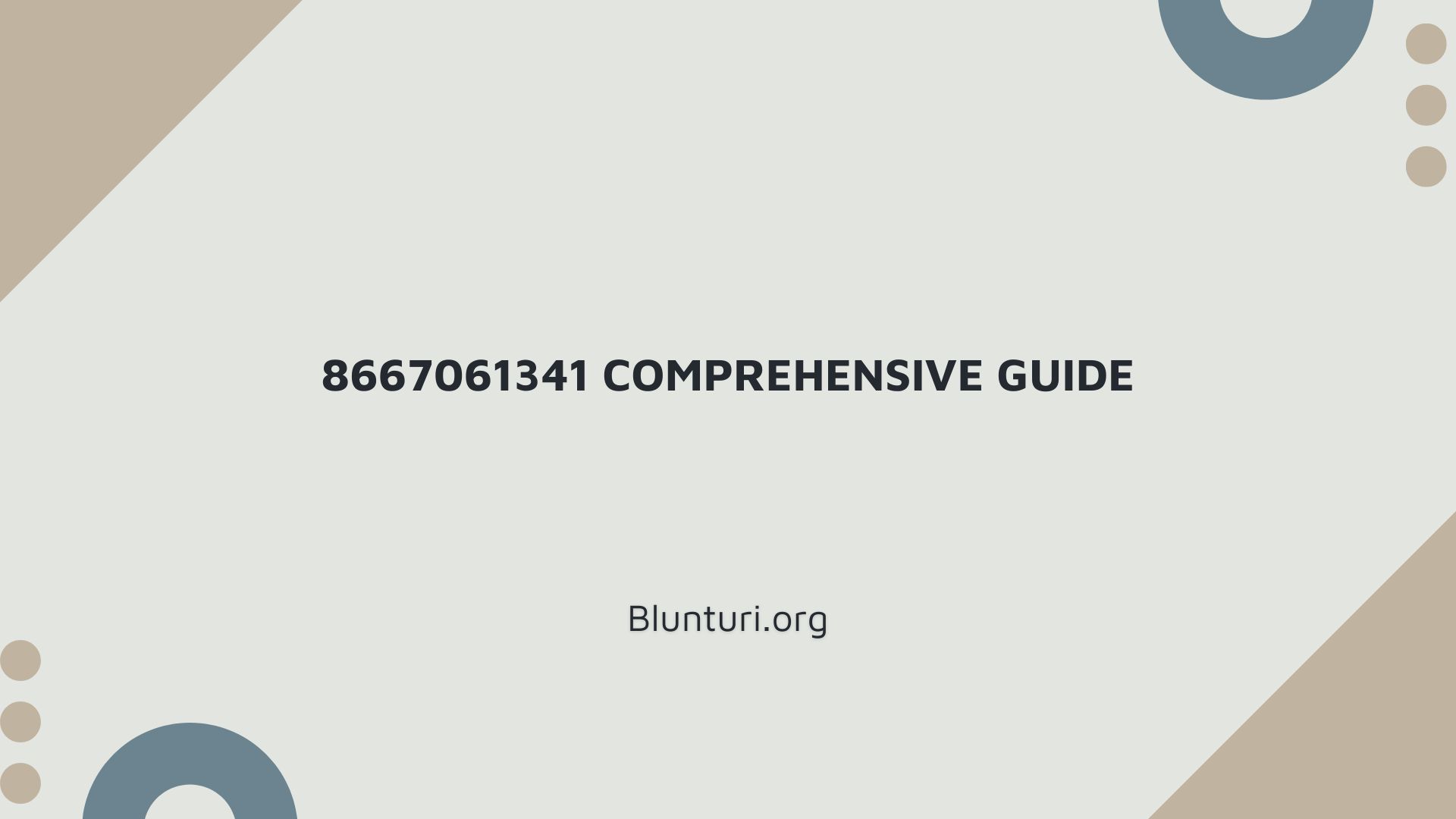 8667061341 Comprehensive Guide