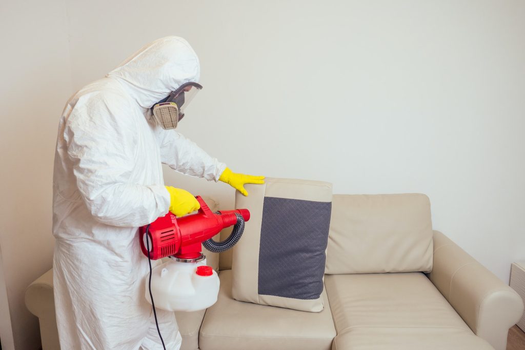 Innovative Solutions for Keeping Your Home Critter-Free All Year