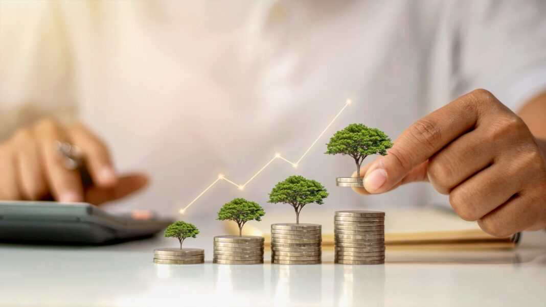 Pedrovazpaulo Wealth Investment