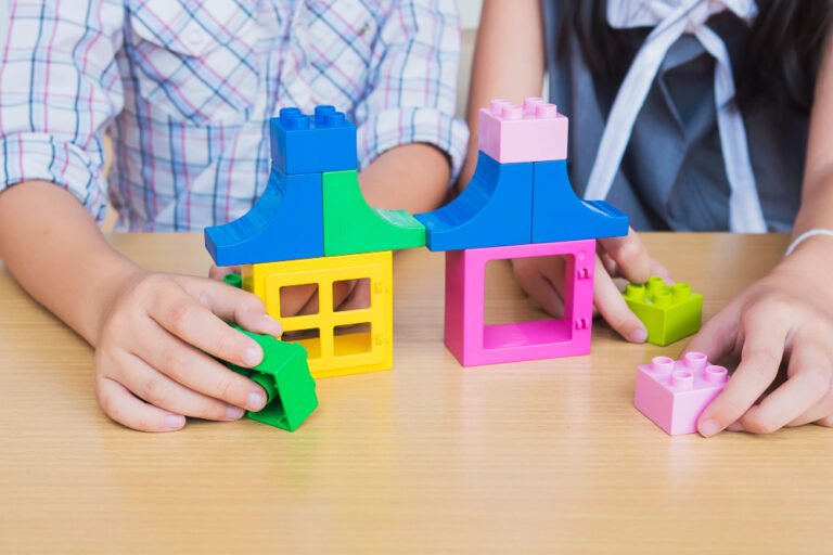 Welcome to MyBrickHouse – India’s Home for Original LEGO Experiences